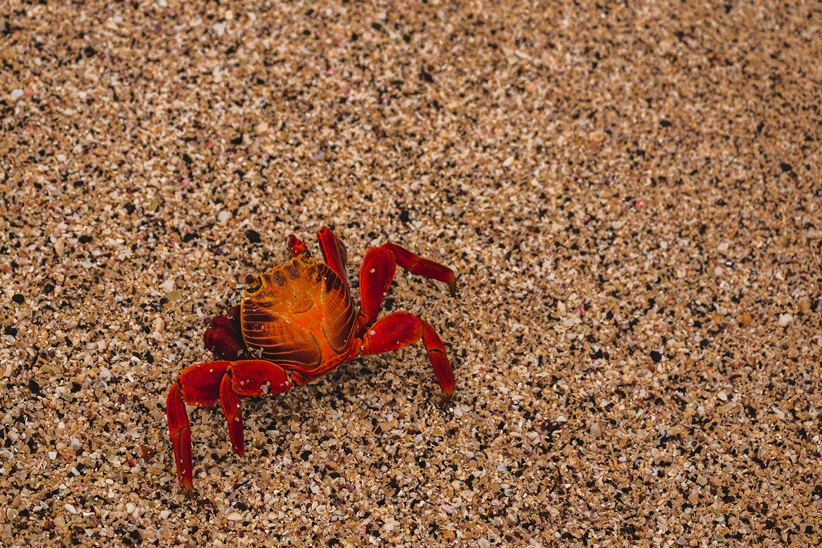 Meta Acquires Moltbook AI Agent Social Network