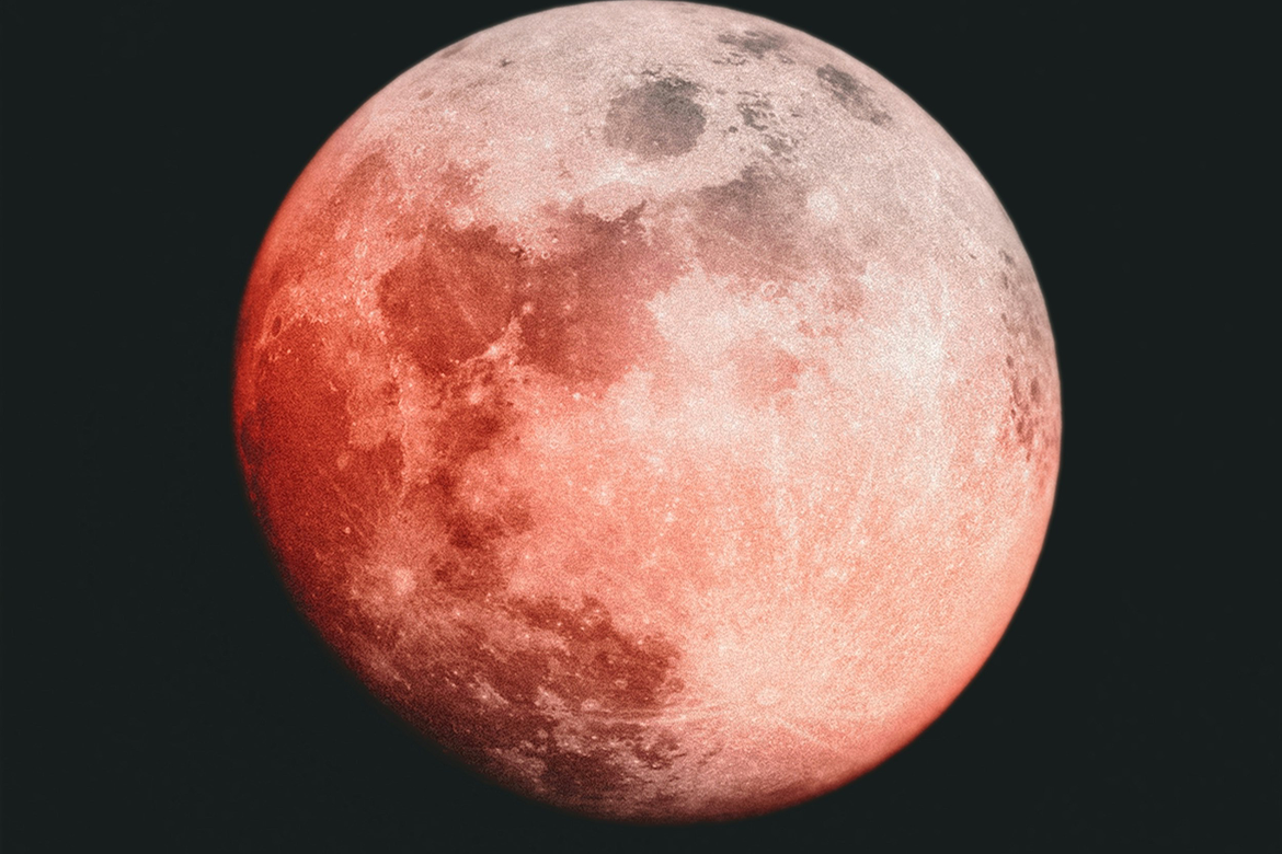 SpaceX Moves Toward IPO With Confidential Filing