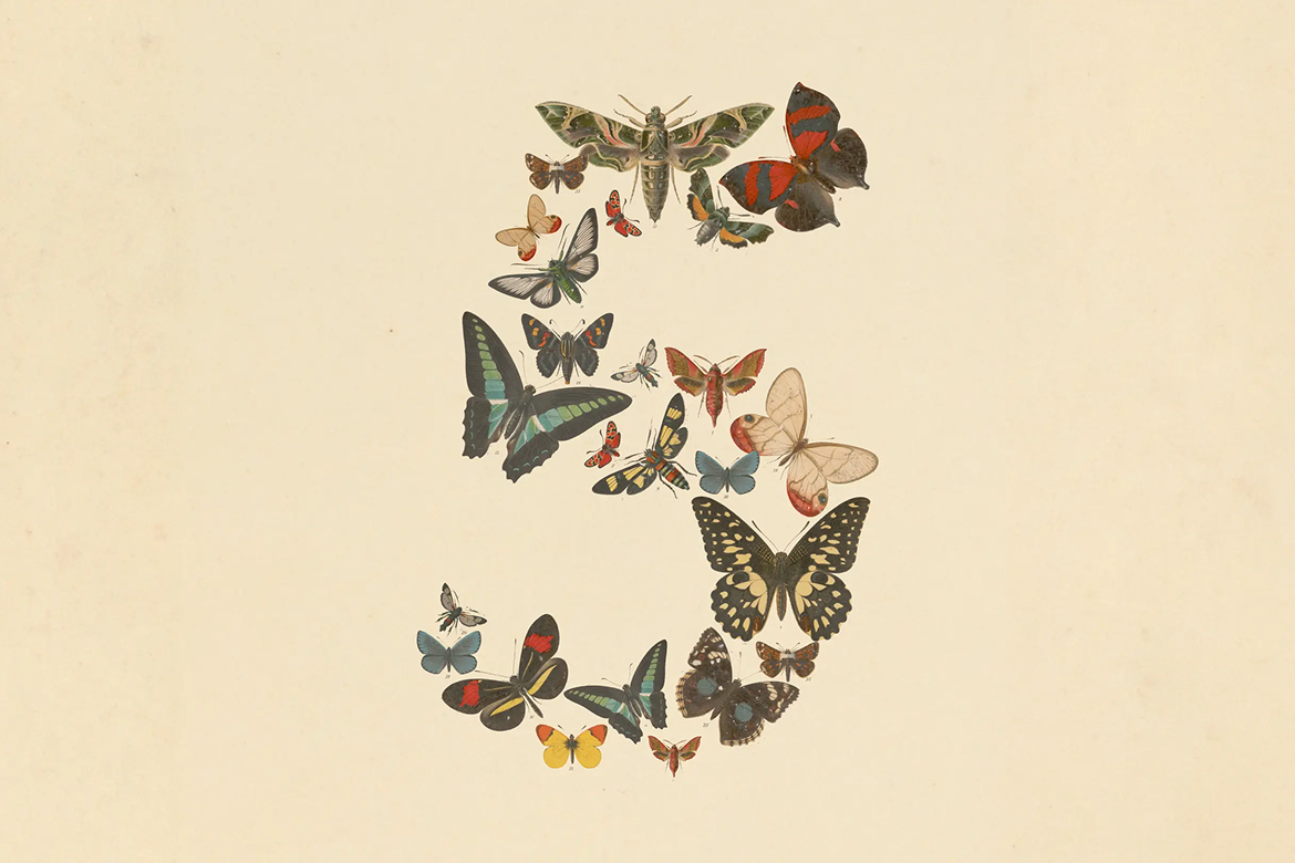 Anthropic Launches Claude Fable 5 for General Use and Mythos 5 for Vetted Partners