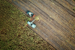 NSF Launches AI-ENGAGE Awards to Advance Global Agriculture