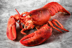 OpenAI Brings OpenClaw Creator In-House, Keeps Project Open Source