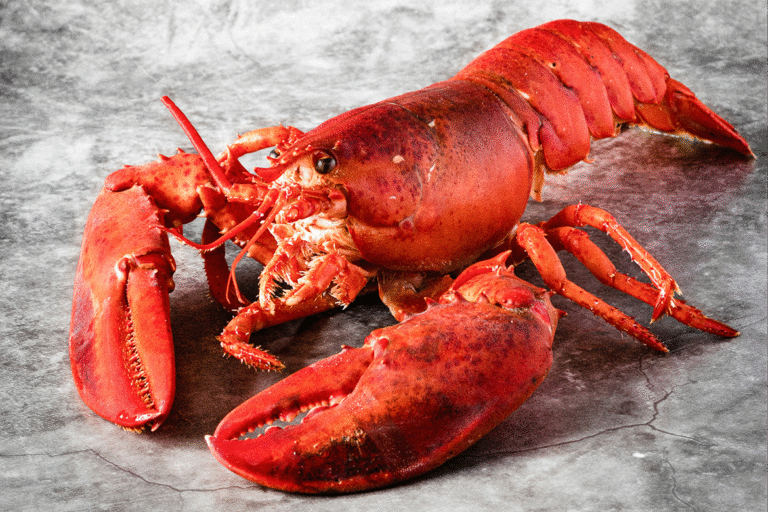 OpenAI Brings OpenClaw Creator In-House, Keeps Project Open Source