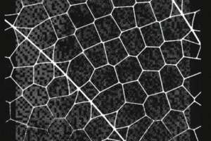 Anthropic Launches Glasswing to Deploy AI for Cyber Defense