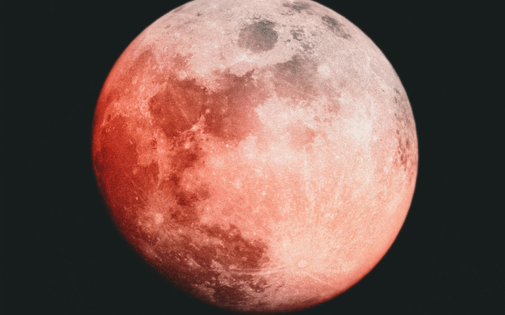 SpaceX Moves Toward IPO With Confidential Filing