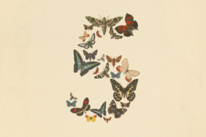 Anthropic Launches Claude Fable 5 for General Use and Mythos 5 for Vetted Partners