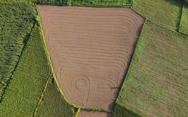 OneSoil and Rainbow Weather Launch AI Rainfall Forecasting for Farmers