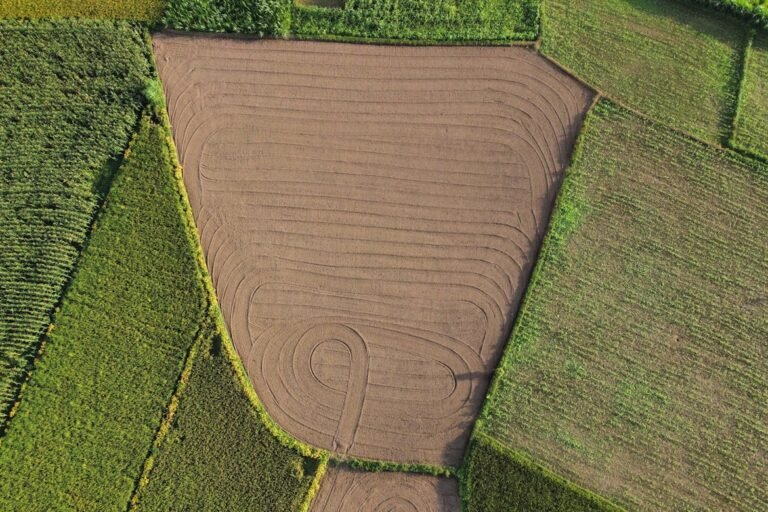 OneSoil and Rainbow Weather Launch AI Rainfall Forecasting for Farmers