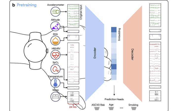 Google Trains Health AI on a Trillion Minutes of Wearable Data