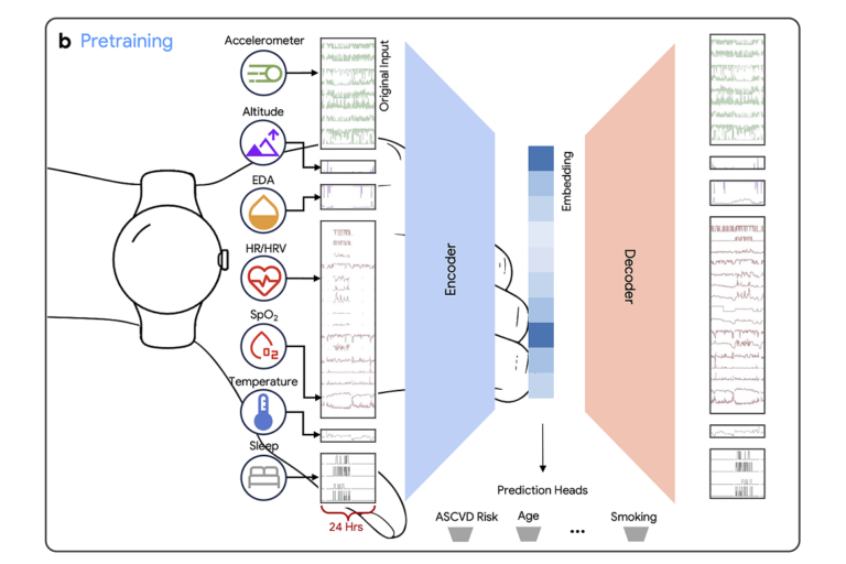 Google Trains Health AI on a Trillion Minutes of Wearable Data