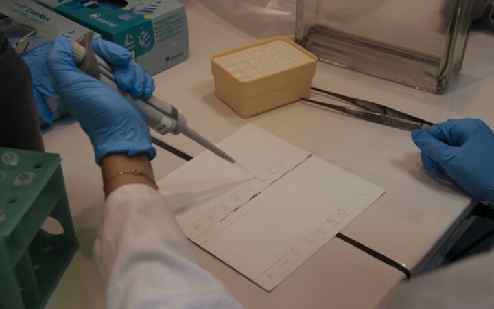 Blue-gloved laboratory worker applying a sample with a micropipette to a thin-layer chromatography plate